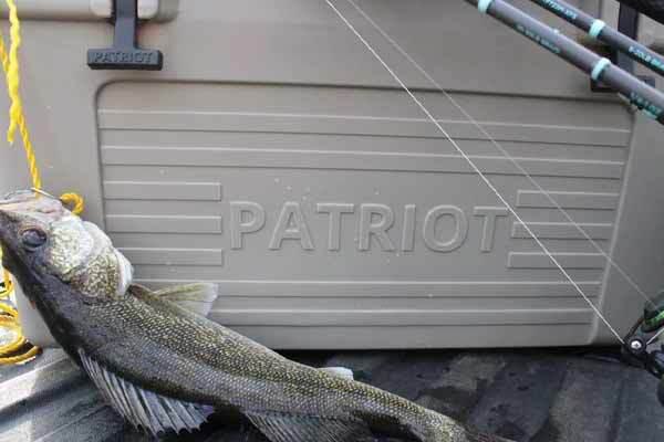 Cooler with Fish Next to It